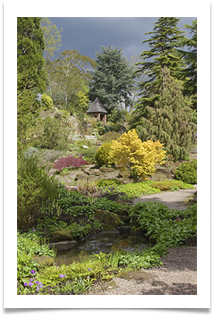 Acer View at Ness Gardens - Helen Kulczycki